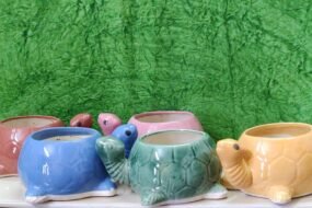 Beautiful Tortoise Pot