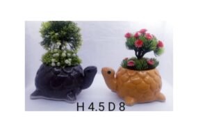 Tortoise planter and pots