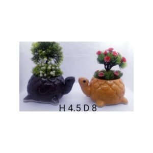 Tortoise planter and pots