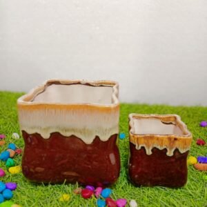 2 pcs sets pots indoor 6H*4w