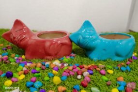 cat pot for Table ware