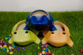 frog pot 4H*4.5D