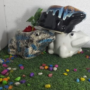 Frog planter and pot 6H*9.5D