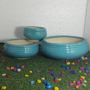 Bone sai3pcs flate sets