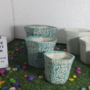 3pcs set Bonsai pots with colors