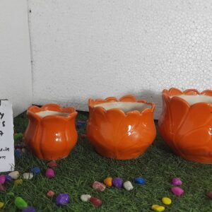 Bonsai kamal  3 pcs set 5H,4.25H,3.5H