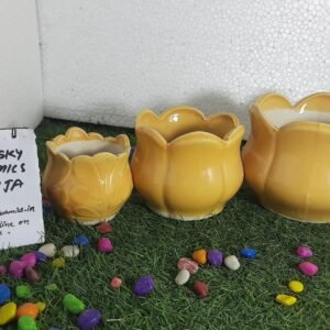 kamal 3 pcs sets  5H 4.25H 3.5H