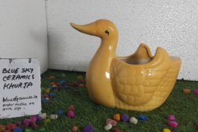 Duck planter pots ceramic
