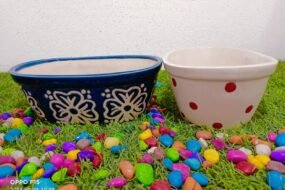 R. D Bone sai pot 3.5H*6D