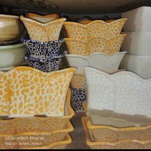 Kanguru Bonsai H6*D11.5