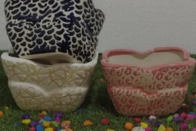 R. D and Colors pot H5*D6