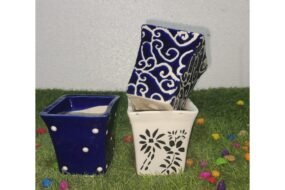 Ashwani planter H4*D3.5