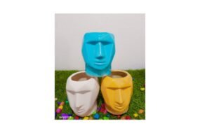 Face planter pot